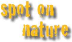 Logo spot on nature